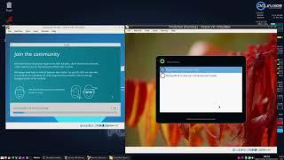 Xbuntu 19.10 VS PCLOS Trinity install side by side