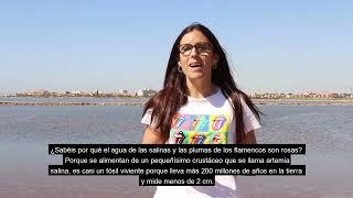 VÍDEO SAN PEDRO DEL PINATAR