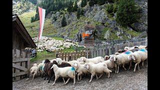 Events & Veranstaltungen in Partschins Südtirol