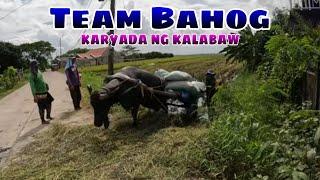 Team Bahog karyada ng kalabaw