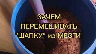 ЗАЧЕМ ПЕРЕМЕШИВАТЬ "ШАПКУ" из МЕЗГИ?