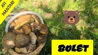 Yaz Sezonu Boletleri . #ayımantarı #boletus,#porcini ,#mantar ,#mantartoplama ,#mantarlar ,#fungi