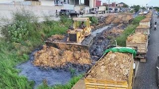 Nice Job Operator Bulldozer KOMATSU D53P Pushing Dirt Stone Filling Up Land Building Temp Road 5Ton