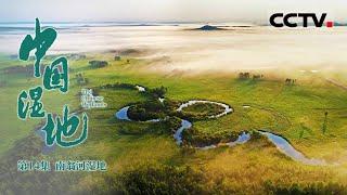 《中国湿地》第14集 中国冷级：将生存推向极致！ The Chinese Wetlands【CCTV纪录】