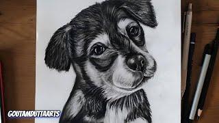 Hyper-Realistic Puppy Drawings That Will Amaze You  | Timelapse Art | Goutamduttaarts