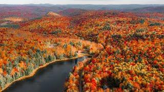 Peak Fall Foliage in New England (Experience Autumn)