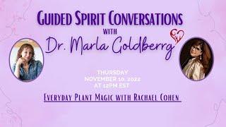 Everyday Plant Magic with Rachael Cohen