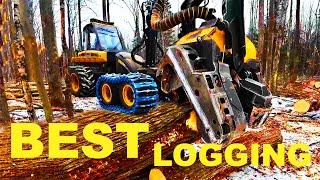 BEST LOGGING VIDEO of 2025 with LOGGER MAC!