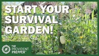 Grow Your Own Food! Today is a Great Day to Start Your Survival Garden