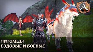 ArcheAge 6.1. Самые полезные ездовые и боевые питомцы