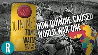 How Quinine Fights Malaria, and How That Caused* World War One