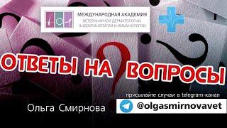 Ответы на вопросы. Выпуск от 21.12.2024