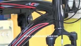 BIKE SOUL ACE SHIMANO 21 VELOCIDADES