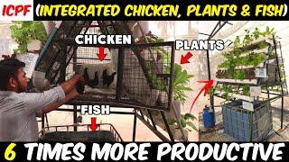 Integrated Chicken, Plant and Fish Farm (ICPF) | Aquaponics for Beginners