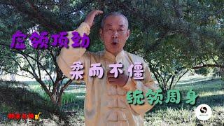 太极真功夫，必须遵循的太极拳演练要领，虚灵顶劲，虚而不僵，统领周身