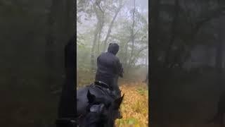 Осенняя прогулка