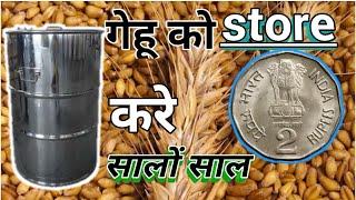 Wheat गेहूं को स्टोर करने का jewik तरीका store wheat with jewik vidhi