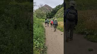 도심속 힐링 휴식처 말리부 크릭 주립공원 Malibu Creek State Park #wildflowers #travel #hiking