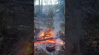 Campfire Dutch Oven Supper after Day in the Bush #wildernessliving #castironcooking #forestsounds