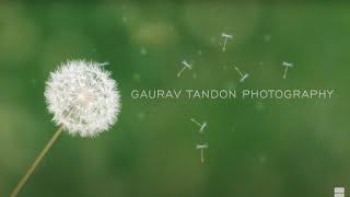 Gaurav Tandon Photography - Introduction