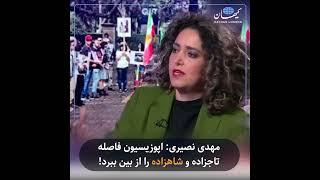مهدی نصیری: اپوزیسیون فاصله تاجزاده و شاهزاده را از بین ببرد!