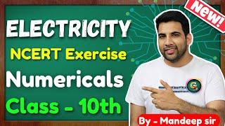 Class 10 Electricity Numericals | Exercise Questions | Class 10 science #electricity #numericals