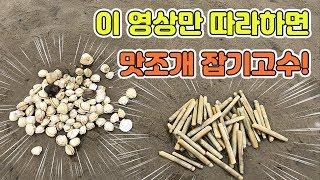 몽산포 맛조개잡기 누구나 쉽게 잡는방법! [TV생물도감]