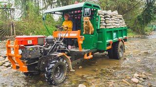 Use New Truck To Transport a Lot of Stone to Prepare For New Construction | Đào Daily Farm