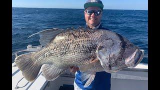 IFISH Geraldton jigging for Coral Trout & Dhufish