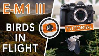 Olympus OM-D E-M1 III - Birds in Flight Review & Tutorial (also for E-M1X, E-M1 II and E-M5 III)