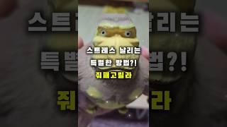 스트레스 날리는 특별한 방법! 쿠팡 품절템 '줘패고릴라' 리뷰