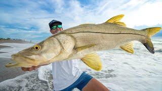 GIANT Snook and Tarpon! Catch Clean Cook! (2024 Florida Mullet Run)