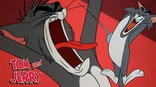 Tom y Jerry, pero solo 20 minutos con Tom gritando | @GenWBLatino