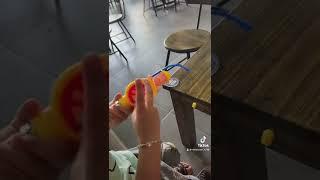 Câu cá