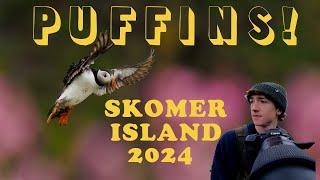 I Visited Puffin Island! - Skomer Trip 2024