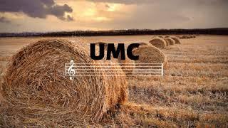 Harvest - Harvio | Lounge Deep House | Ultimate Music Channel