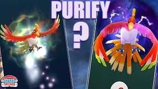 SHOULD YOU PURIFY?! *APEX SHADOW* LUGIA & HO-OH RANKINGS | Pokémon GO