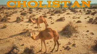 چولستان روہی ٹوبھے - چولستان کے مناظر- Cholistan desert Pakistan