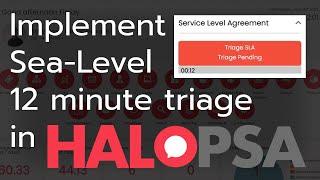 Triaging in HaloPSA: 12 Minute Sea-Level Compliant Triage