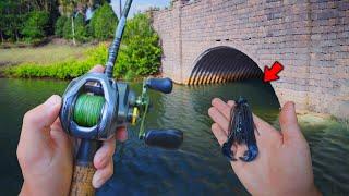 Fishing For GIANT Bass In URBAN Canals! (Bank Fishing)