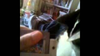 Unboxing video # 2