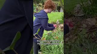 Come pick flowers at our Sanctuary!