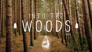 Into The Woods  - A Mysterious Indie/Folk/Pop Playlist | Vol. 2