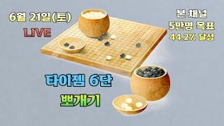 [생]타이젬바둑 6단 뽀개기