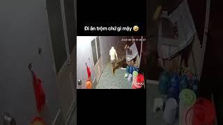 Đi ăn trộm chứ gì mậy 