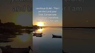 Biblical Truth - Laws Concerning Purity and Cleanliness #missions #togo #shorts