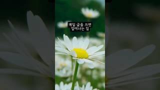 매일 글을 쓰면 생기는 일 #책먹는여자 #작가브이로그