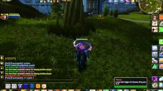zhyper wow atack stormwind with 2 paladins :)