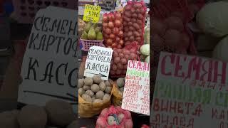 Беларусь  МинскЦенана картофель  Рынок️Март2025️️️️