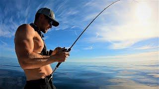 Daiwa LEXA HD 300 HSL-P Unboxing Straight to Jigging For Giants - Tested By Amberjacks & Pelagics